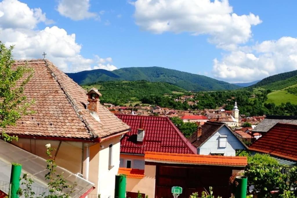 Apartament Panoramic La Casa In Comuna Răşinari 外观 照片