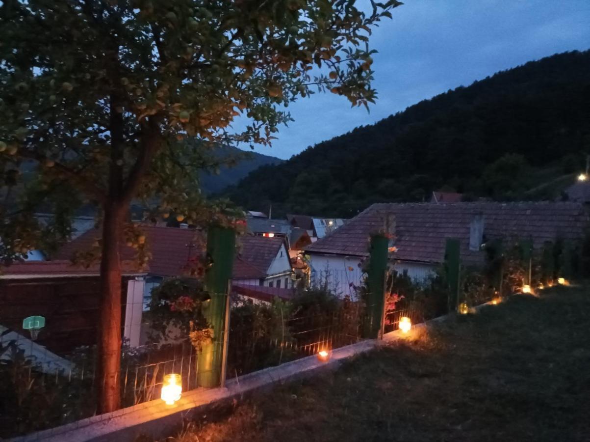 Apartament Panoramic La Casa In Comuna Răşinari 外观 照片