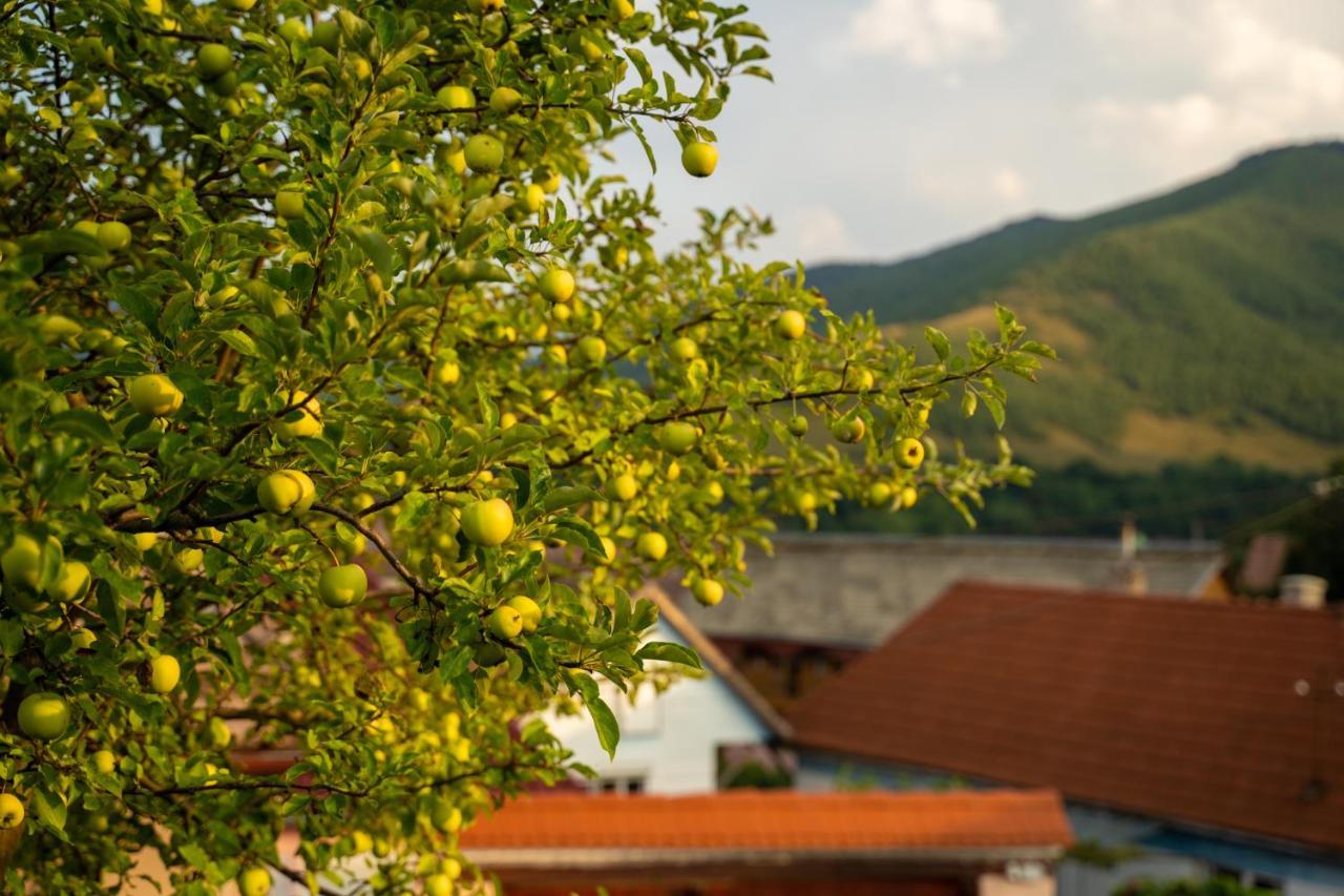 Apartament Panoramic La Casa In Comuna Răşinari 外观 照片