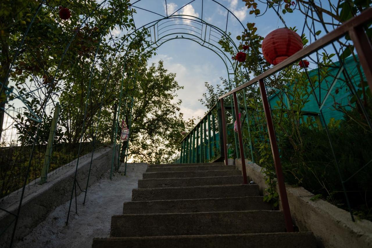 Apartament Panoramic La Casa In Comuna Răşinari 外观 照片